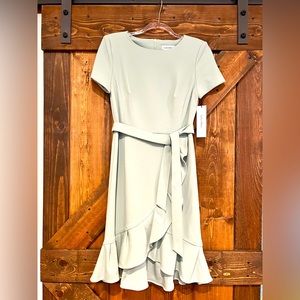 Calvin Klein Size 4 Dress, Brand new